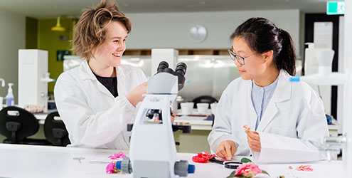 Working with a microscope