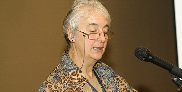 Dr Evelyn Hovenga presenting at Seoul