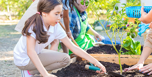 Kids gardening