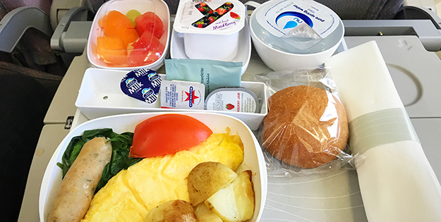 Airplane food