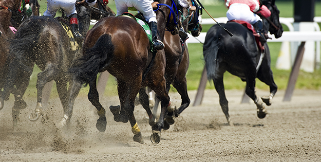 Problem gambling research