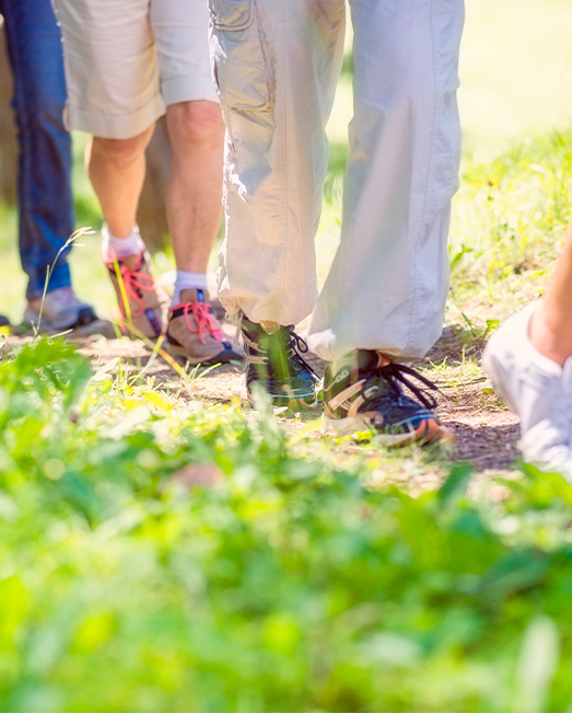 A line of people walking through nature, feet only.