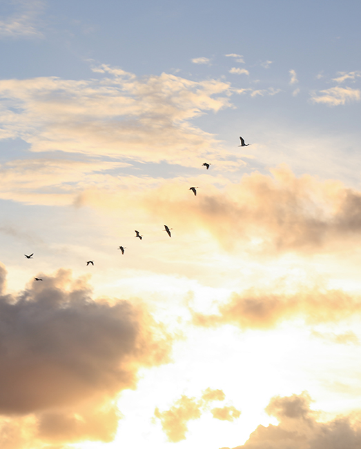 Power of hope in uncertain times