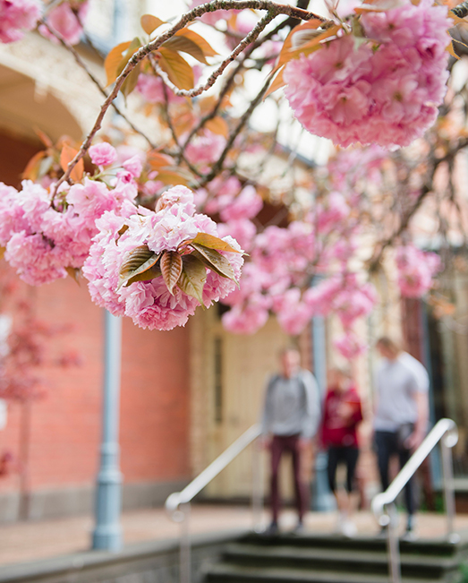 Change of preference ACU