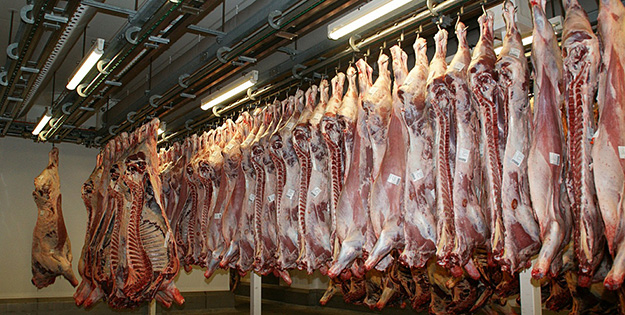 Meat