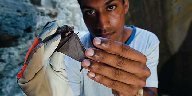 Leroy with a microbat