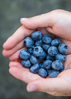 Blueberries