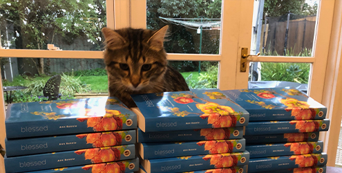 master of educational leadership