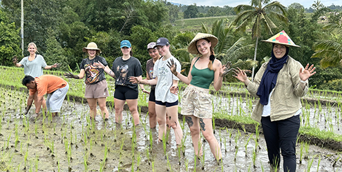 Students working in muddy field